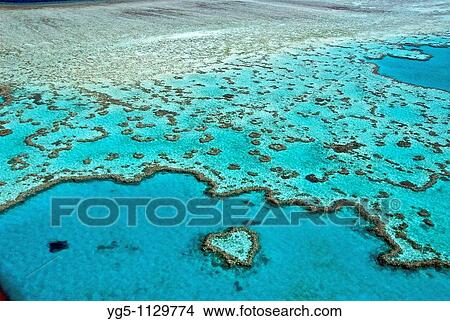 Reefs and atolls of the Great Barrier Reef, Australia View Large Photo Image Picture - Reefs and atolls of the Great Barrier Reef, Australia. Fotosearch