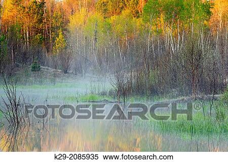 Reflections in a misty beaver pond at dawn, Greater Sudbury, Ontario, Canada. View Large Photo Image Stock Photography - Reflections in a misty beaver pond at dawn, Greater Sudbury, Ontario, Canada.. Fotosearch