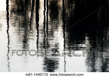 Reflections in Comox Lake Vancouver Island, B C, Canada View Large Photo Image Stock Image - Reflections in Comox Lake Vancouver Island, B C, Canada. Fotosearch