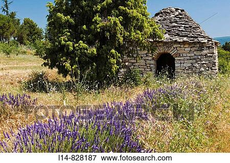 Region of Provence View Large Photo Image Stock Photo - Region of Provence. Fotosearch