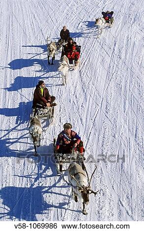 Reindeer sledges, Kautokeino, Finnmark, Norway View Large Photo Image Stock Photograph - Reindeer sledges, Kautokeino, Finnmark, Norway. Fotosearch