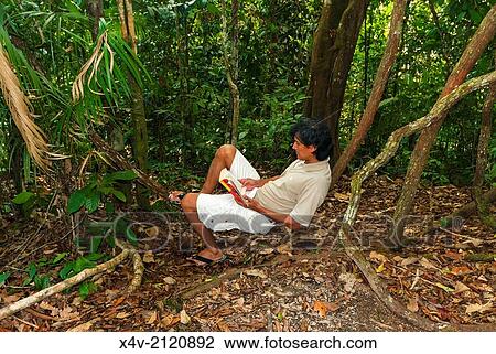 Stock Image - Relax in the Forest at Batang Al National Park, Kuching, Sarawak, Malaysian Borneo, Malaysia, Southeast Asia, Asia,.. Fotosearch