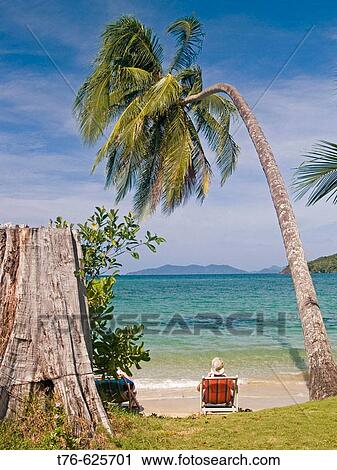 relaxing under a coconut palm, Koh Mak, Thailand View Large Photo Image Stock Image - relaxing under a coconut palm, Koh Mak, Thailand. Fotosearch