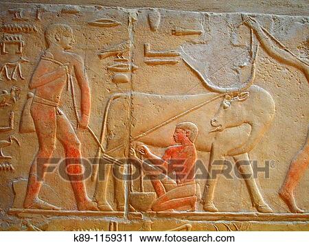 Relieves en mastaba, Saqqara, El Cairo, Egipto View Large Photo Image Stock Image - Relieves en mastaba, Saqqara, El Cairo, Egipto. Fotosearch