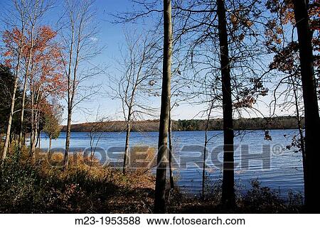 Remnants of autumn by Lake Nockamixon, Pennsylvania, USA. View Large Photo Image Stock Photo - Remnants of autumn by Lake Nockamixon, Pennsylvania, USA.. Fotosearch