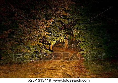 Stock Photo - Remote unpaved country road through forest trees at night. Fotosearch