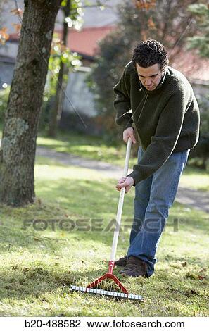 Stock Image - Removing moss from grass with garden tool in garden. Gipuzkoa, Euskadi, Spain. Fotosearch