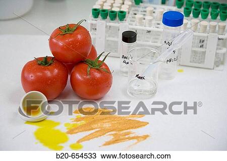 Research and Development laboratory. Functional biomolecules in food extraction. Tomatoe extract. AZTI-Tecnalia. Technological Centre specialised in Marine and Food Research. Sukarrieta, Bizkaia, Euskadi. Spain. View Large Photo Image Stock Image - Research and Development laboratory. Functional biomolecules in food extraction. Tomatoe extract. AZTI-Tecnalia. Technological Centre specialised in Marine and Food Research. Sukarrieta, Bizkaia, Euskadi. Spain.. Fotosearch