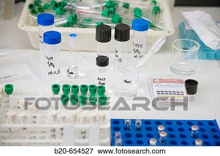 Stock Photo - Research and Development laboratory. Functional biomolecules in food extraction. AZTI-Tecnalia. Technological Centre specialised in Marine and Food Research. Sukarrieta, Bizkaia, Euskadi. Spain.. Fotosearch