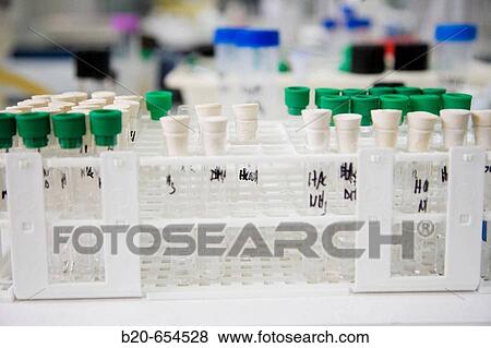 Stock Photo - Research and Development laboratory. Functional biomolecules in food extraction. AZTI-Tecnalia. Technological Centre specialised in Marine and Food Research. Sukarrieta, Bizkaia, Euskadi. Spain.. Fotosearch