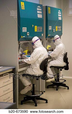 Stock Image - Research on mad cow disease and avian flu, Laboratory of Bio-Safety Level P3, Departamento de Producci? n y Sanidad Animal, Neiker Tecnalia, Instituto de Investigaci? n y Desarrollo Agrario, Ganadero, Forestal y del Medio Natural, Euskadi, Spain. Fotosearch