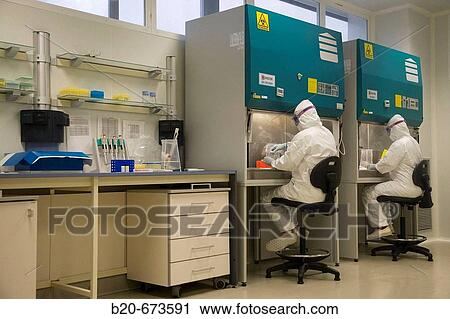Research on mad cow disease and avian flu, Laboratory of Bio-Safety Level P3, Departamento de Producci? n y Sanidad Animal, Neiker Tecnalia, Instituto de Investigaci? n y Desarrollo Agrario, Ganadero, Forestal y del Medio Natural, Euskadi, Spain View Large Photo Image Stock Image - Research on mad cow disease and avian flu, Laboratory of Bio-Safety Level P3, Departamento de Producci? n y Sanidad Animal, Neiker Tecnalia, Instituto de Investigaci? n y Desarrollo Agrario, Ganadero, Forestal y del Medio Natural, Euskadi, Spain. Fotosearch