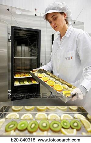 Researcher applying CAS (Cells Alive System) freezing technology to food, fruits, pilot plant, AZTI-Tecnalia, Technology Centre for Marine and Food Research, Derio, Biscay, Basque Country, Spain View Large Photo Image Stock Photo - Researcher applying CAS (Cells Alive System) freezing technology to food, fruits, pilot plant, AZTI-Tecnalia, Technology Centre for Marine and Food Research, Derio, Biscay, Basque Country, Spain. Fotosearch