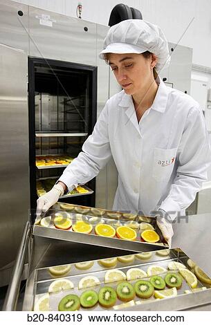 Stock Photo - Researcher applying CAS (Cells Alive System) freezing technology to food, fruits, pilot plant, AZTI-Tecnalia, Technology Centre for Marine and Food Research, Derio, Biscay, Basque Country, Spain. Fotosearch