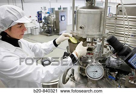 Researcher applying CID (Controlled Instant Decompression) technology to improve mouth feel in fruits, pilot plant, AZTI-Tecnalia, Technology Centre for Marine and Food Research, Derio, Biscay, Basque Country, Spain View Large Photo Image Stock Image - Researcher applying CID (Controlled Instant Decompression) technology to improve mouth feel in fruits, pilot plant, AZTI-Tecnalia, Technology Centre for Marine and Food Research, Derio, Biscay, Basque Country, Spain. Fotosearch