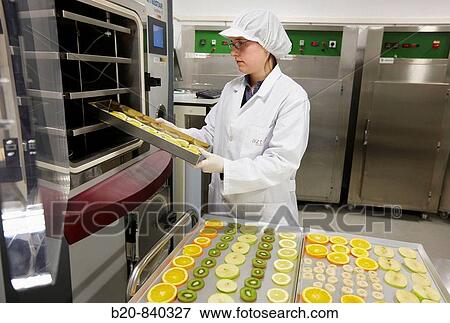 Researcher freeze-drying fruits, pilot plant, AZTI-Tecnalia, Technology Centre for Marine and Food Research, Derio, Biscay, Basque Country, Spain View Large Photo Image Stock Photo - Researcher freeze-drying fruits, pilot plant, AZTI-Tecnalia, Technology Centre for Marine and Food Research, Derio, Biscay, Basque Country, Spain. Fotosearch