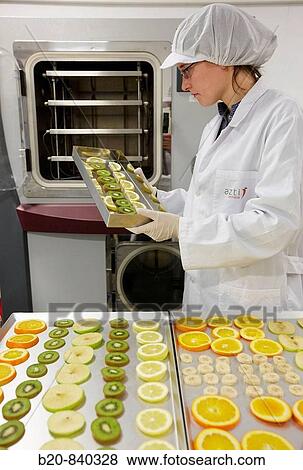 Researcher freeze-drying fruits, pilot plant, AZTI-Tecnalia, Technology Centre for Marine and Food Research, Derio, Biscay, Basque Country, Spain View Large Photo Image Stock Photo - Researcher freeze-drying fruits, pilot plant, AZTI-Tecnalia, Technology Centre for Marine and Food Research, Derio, Biscay, Basque Country, Spain. Fotosearch