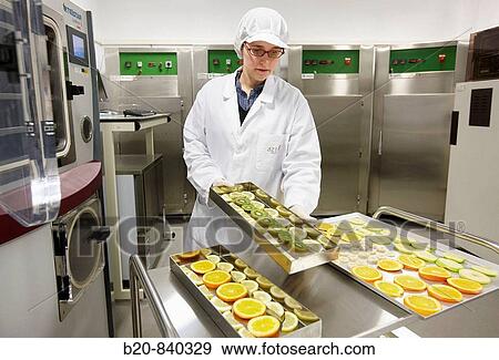 Researcher freeze-drying fruits, pilot plant, AZTI-Tecnalia, Technology Centre for Marine and Food Research, Derio, Biscay, Basque Country, Spain View Large Photo Image Stock Photo - Researcher freeze-drying fruits, pilot plant, AZTI-Tecnalia, Technology Centre for Marine and Food Research, Derio, Biscay, Basque Country, Spain. Fotosearch