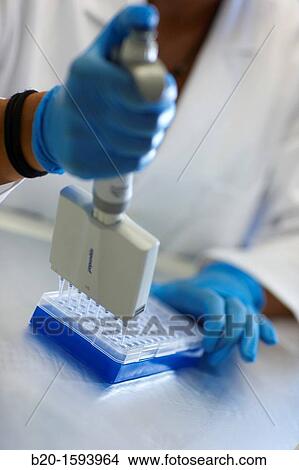 Researcher handling DNA samples, Biotechnology Laboratory, Health Area, Alava Technology Park, Technology Centre, Tecnalia Research & Innovation, Miano, Araba, Basque Country, Spain View Large Photo Image Picture - Researcher handling DNA samples, Biotechnology Laboratory, Health Area, Alava Technology Park, Technology Centre, Tecnalia Research & Innovation, Miano, Araba, Basque Country, Spain. Fotosearch