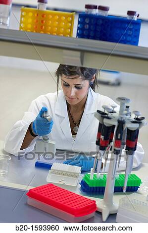 Researcher handling DNA samples, Biotechnology Laboratory, Health Area, Alava Technology Park, Technology Centre, Tecnalia Research & Innovation, Miano, Araba, Basque Country, Spain View Large Photo Image Stock Image - Researcher handling DNA samples, Biotechnology Laboratory, Health Area, Alava Technology Park, Technology Centre, Tecnalia Research & Innovation, Miano, Araba, Basque Country, Spain. Fotosearch