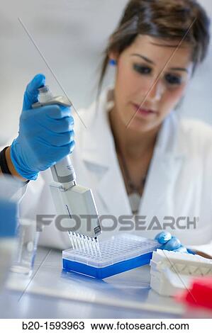 Researcher handling DNA samples, Biotechnology Laboratory, Health Area, Alava Technology Park, Technology Centre, Tecnalia Research & Innovation, Miano, Araba, Basque Country, Spain View Large Photo Image Stock Image - Researcher handling DNA samples, Biotechnology Laboratory, Health Area, Alava Technology Park, Technology Centre, Tecnalia Research & Innovation, Miano, Araba, Basque Country, Spain. Fotosearch