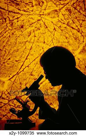 RESEARCHER LOOKING INTO A MICROSCOPE WITH NEUROLOGY SLIDE PROJECTED IN BACKGROUND View Large Photo Image Stock Photography - RESEARCHER LOOKING INTO A MICROSCOPE WITH NEUROLOGY SLIDE PROJECTED IN BACKGROUND. Fotosearch