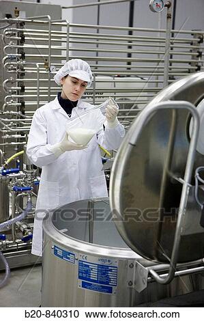 Stock Image - Researcher pasteurizating milk, pilot plant, AZTI-Tecnalia, Technology Centre for Marine and Food Research, Derio, Biscay, Basque Country, Spain. Fotosearch