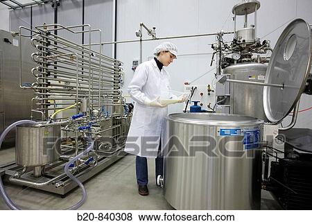 Stock Photo - Researcher pasteurizating milk, pilot plant, AZTI-Tecnalia, Technology Centre for Marine and Food Research, Derio, Biscay, Basque Country, Spain. Fotosearch