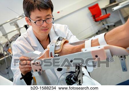 Researcher placing a patient clinical training device of the limb has multiple modes of training wrist and arm View Large Photo Image Picture - Researcher placing a patient clinical training device of the limb has multiple modes of training wrist and arm. Fotosearch
