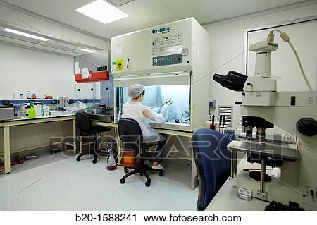 Researcher seeding mammalian cells in a cell culture room equipped with two laminar flow hoods, two microscopes, a centrifuge, a water bath and three incubators View Large Photo Image Stock Image - Researcher seeding mammalian cells in a cell culture room equipped with two laminar flow hoods, two microscopes, a centrifuge, a water bath and three incubators. Fotosearch