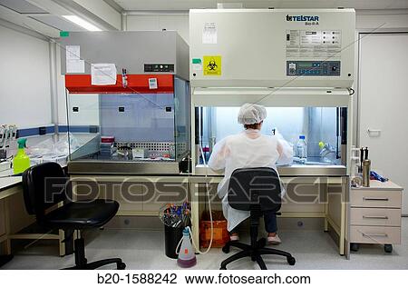 Researcher seeding mammalian cells in a cell culture room equipped with laminar flow hood, Cell Culture Laboratory, Unit of Health Technology, Tecnalia Research & Innovation, Miramon Technology Park, San Sebastian, Donostia, Gipuzkoa Basque Country, Spain View Large Photo Image Stock Image - Researcher seeding mammalian cells in a cell culture room equipped with laminar flow hood, Cell Culture Laboratory, Unit of Health Technology, Tecnalia Research & Innovation, Miramon Technology Park, San Sebastian, Donostia, Gipuzkoa Basque Country, Spain. Fotosearch