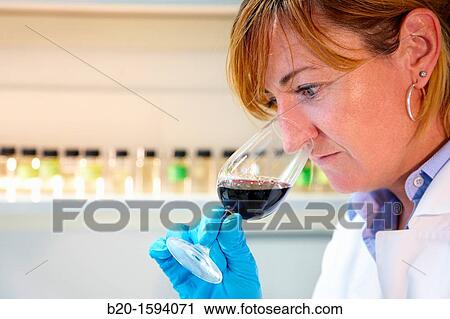 Researcher tasting a wine View Large Photo Image Stock Image - Researcher tasting a wine. Fotosearch