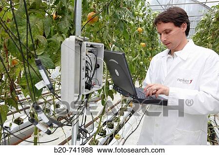 Researcher unloading temperature and moisture data from climatic station, soiless culture of tomatoes on cocoa fiber growing medium, greenhouses, Neiker Tecnalia, Instituto de Investigaci? n y Desarrollo Agrario, Derio, Bizkaia, Euskadi View Large Photo Image Stock Photo - Researcher unloading temperature and moisture data from climatic station, soiless culture of tomatoes on cocoa fiber growing medium, greenhouses, Neiker Tecnalia, Instituto de Investigaci? n y Desarrollo Agrario, Derio, Bizkaia, Euskadi. Fotosearch