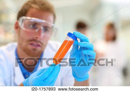 Researchers, Biological test laboratory, Tecnalia Foundation, Technology and Research Centre, San Sebastian Technological Park, Donostia, Gipuzkoa, Basque Country, Spain View Large Photo Image Stock Image - Researchers, Biological test laboratory, Tecnalia Foundation, Technology and Research Centre, San Sebastian Technological Park, Donostia, Gipuzkoa, Basque Country, Spain. Fotosearch