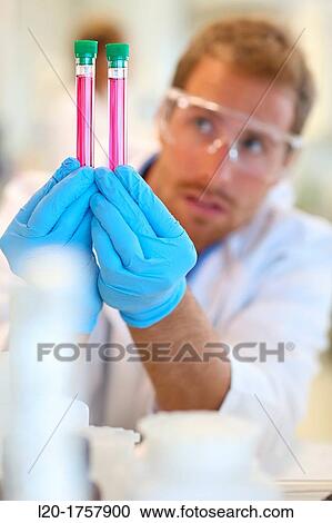 Researchers, Biological test laboratory, Tecnalia Foundation, Technology and Research Centre, San Sebastian Technological Park, Donostia, Gipuzkoa, Basque Country, Spain View Large Photo Image Stock Image - Researchers, Biological test laboratory, Tecnalia Foundation, Technology and Research Centre, San Sebastian Technological Park, Donostia, Gipuzkoa, Basque Country, Spain. Fotosearch