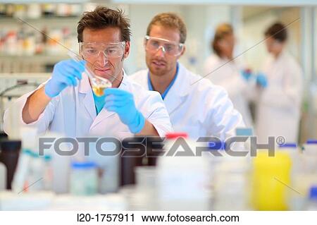 Researchers, Biological test laboratory, Tecnalia Foundation, Technology and Research Centre, San Sebastian Technological Park, Donostia, Gipuzkoa, Basque Country, Spain View Large Photo Image Stock Image - Researchers, Biological test laboratory, Tecnalia Foundation, Technology and Research Centre, San Sebastian Technological Park, Donostia, Gipuzkoa, Basque Country, Spain. Fotosearch