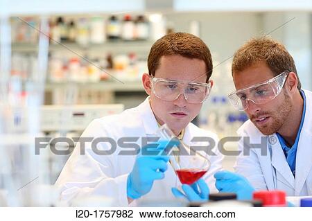 Researchers, Biological test laboratory, Tecnalia Foundation, Technology and Research Centre, San Sebastian Technological Park, Donostia, Gipuzkoa, Basque Country, Spain View Large Photo Image Stock Image - Researchers, Biological test laboratory, Tecnalia Foundation, Technology and Research Centre, San Sebastian Technological Park, Donostia, Gipuzkoa, Basque Country, Spain. Fotosearch