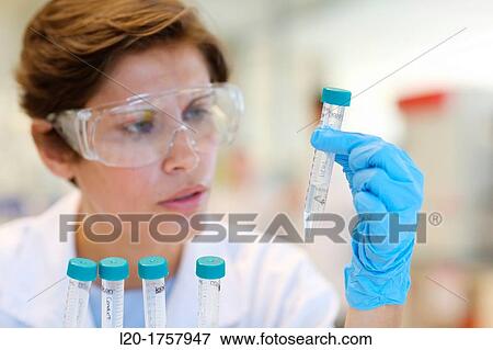 Researchers, Biological test laboratory, Tecnalia Foundation, Technology and Research Centre, San Sebastian Technological Park, Donostia, Gipuzkoa, Basque Country, Spain View Large Photo Image Stock Photo - Researchers, Biological test laboratory, Tecnalia Foundation, Technology and Research Centre, San Sebastian Technological Park, Donostia, Gipuzkoa, Basque Country, Spain. Fotosearch