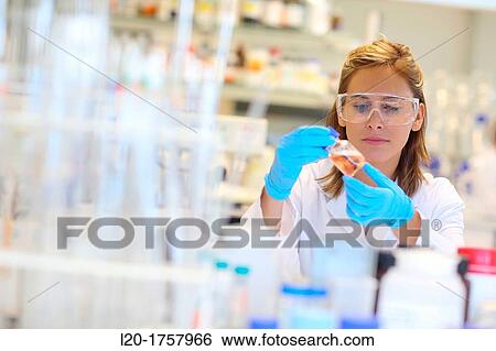 Researchers, Biological test laboratory, Tecnalia Foundation, Technology and Research Centre, San Sebastian Technological Park, Donostia, Gipuzkoa, Basque Country, Spain View Large Photo Image Stock Photograph - Researchers, Biological test laboratory, Tecnalia Foundation, Technology and Research Centre, San Sebastian Technological Park, Donostia, Gipuzkoa, Basque Country, Spain. Fotosearch