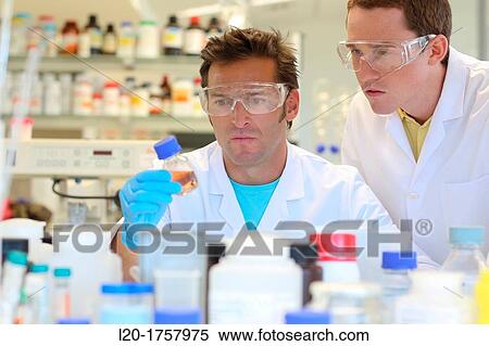 Stock Photography - Researchers, Biological test laboratory, Tecnalia Foundation, Technology and Research Centre, San Sebastian Technological Park, Donostia, Gipuzkoa, Basque Country, Spain. Fotosearch