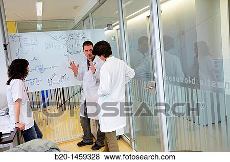 Researchers? meeting, offices, Biodonostia Health and Biomedicine Research Institute, San Sebastian, Donostia, Gipuzkoa, Euskadi, Spain View Large Photo Image Stock Photo - Researchers? meeting, offices, Biodonostia Health and Biomedicine Research Institute, San Sebastian, Donostia, Gipuzkoa, Euskadi, Spain. Fotosearch