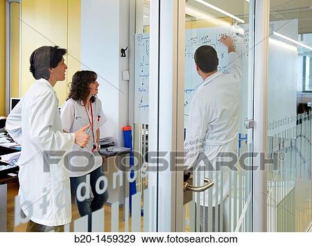 Stock Photo - Researchers? meeting, offices, Biodonostia Health and Biomedicine Research Institute, San Sebastian, Donostia, Gipuzkoa, Euskadi, Spain. Fotosearch