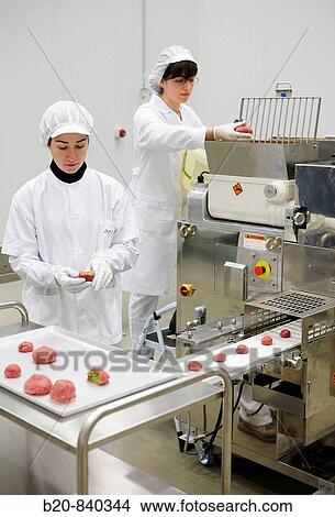 Researchers preparing vegetable-filled meatballs using food co-extrusion technology, pilot plant, AZTI-Tecnalia, Technology Centre for Marine and Food Research, Derio, Biscay, Basque Country, Spain View Large Photo Image Picture - Researchers preparing vegetable-filled meatballs using food co-extrusion technology, pilot plant, AZTI-Tecnalia, Technology Centre for Marine and Food Research, Derio, Biscay, Basque Country, Spain. Fotosearch