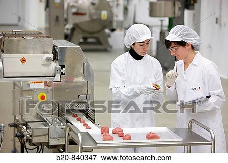 Stock Photo - Researchers preparing vegetable-filled meatballs using food co-extrusion technology, pilot plant, AZTI-Tecnalia, Technology Centre for Marine and Food Research, Derio, Biscay, Basque Country, Spain. Fotosearch