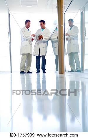 Researchers, Tecnalia Foundation, Technology and Research Centre, San Sebastian Technological Park, Donostia, Gipuzkoa, Basque Country, Spain View Large Photo Image Stock Photo - Researchers, Tecnalia Foundation, Technology and Research Centre, San Sebastian Technological Park, Donostia, Gipuzkoa, Basque Country, Spain. Fotosearch