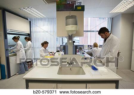 Stock Image - Researchers working in laboratory. Fundaci? n Inbiomed, Genetrix Group. Center for research in stem cells and regenerative medicine. Donostia, San Sebastian, Euskadi. Spain.. Fotosearch