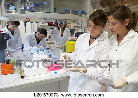 Researchers working in laboratory. Fundaci? n Inbiomed, Genetrix Group. Center for research in stem cells and regenerative medicine. Donostia, San Sebastian, Euskadi. Spain. View Large Photo Image Stock Image - Researchers working in laboratory. Fundaci? n Inbiomed, Genetrix Group. Center for research in stem cells and regenerative medicine. Donostia, San Sebastian, Euskadi. Spain.. Fotosearch