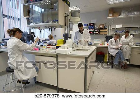 Researchers working in laboratory. Fundaci? n Inbiomed, Genetrix Group. Center for research in stem cells and regenerative medicine. Donostia, San Sebastian, Euskadi. Spain. View Large Photo Image Stock Photo - Researchers working in laboratory. Fundaci? n Inbiomed, Genetrix Group. Center for research in stem cells and regenerative medicine. Donostia, San Sebastian, Euskadi. Spain.. Fotosearch