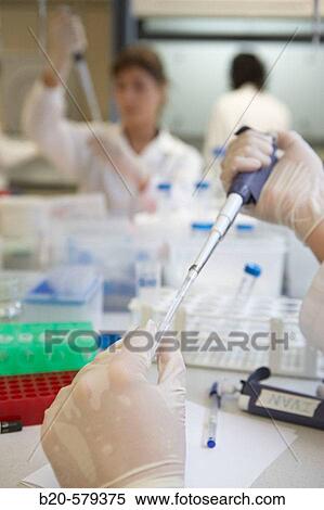 Researchers working in laboratory. Fundaci? n Inbiomed, Genetrix Group. Center for research in stem cells and regenerative medicine. Donostia, San Sebastian, Euskadi. Spain. View Large Photo Image Stock Photography - Researchers working in laboratory. Fundaci? n Inbiomed, Genetrix Group. Center for research in stem cells and regenerative medicine. Donostia, San Sebastian, Euskadi. Spain.. Fotosearch
