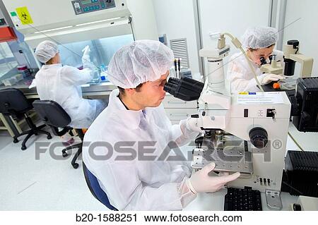 Researchers working in the cell culture room and observing the morphology of the cells through inverted and fluorescence microscope View Large Photo Image Stock Image - Researchers working in the cell culture room and observing the morphology of the cells through inverted and fluorescence microscope. Fotosearch